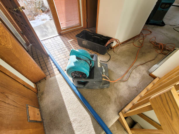 Best Ceiling water damage repair  in Poplar Cotton Center, CA