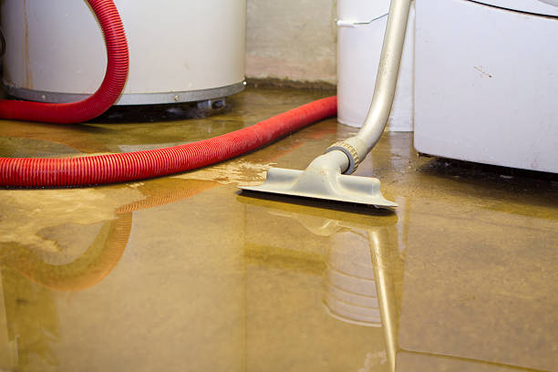 Best Flood restoration services  in Poplar Cotton Center, CA