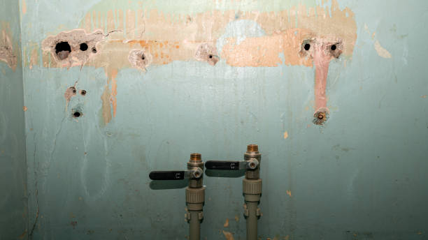 Best Water damage restoration near me  in Poplar Cotton Center, CA