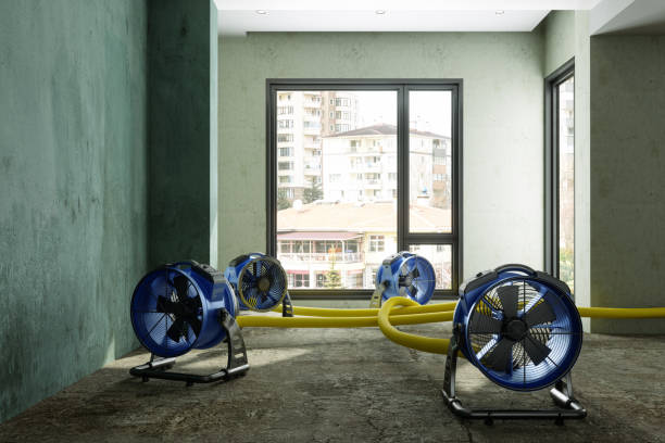  Poplar Cotton Center, CA Water damage restoration Pros